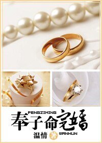 奉子命完婚(高干)