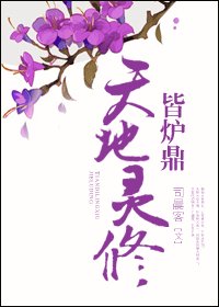 天地灵修皆炉鼎